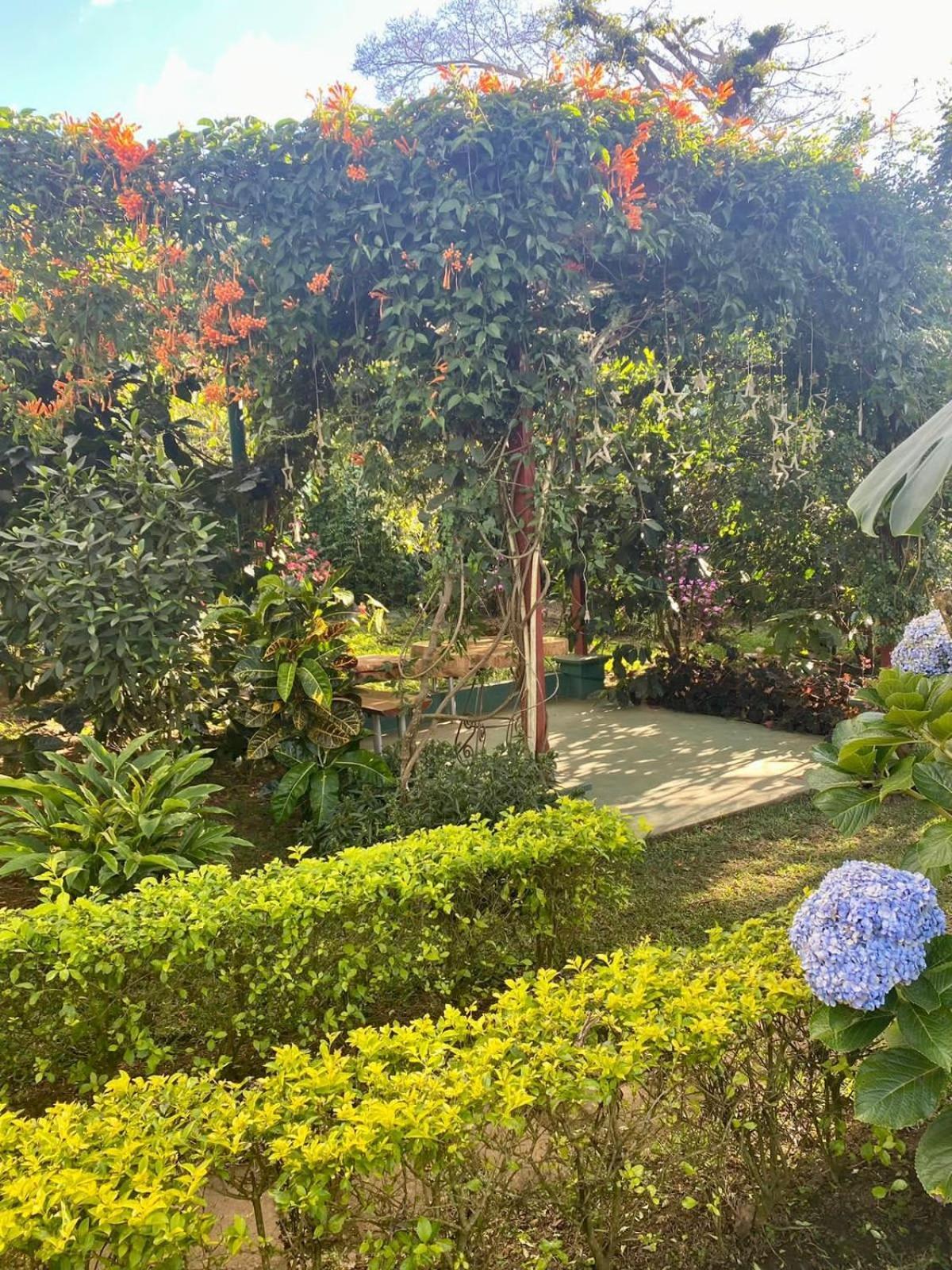 Villa Castillo De Ensueno Concepción de Ataco Buitenkant foto