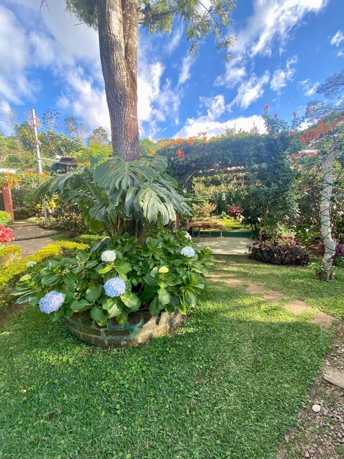 Villa Castillo De Ensueno Concepción de Ataco Buitenkant foto